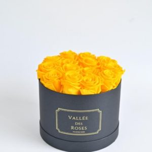 1 year lasting roses