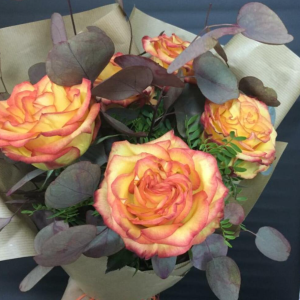orange roses