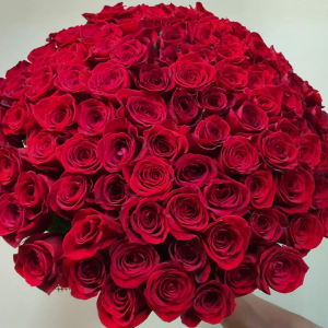 red roses