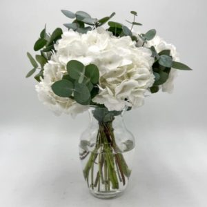 Hortensias blancas