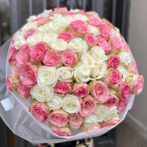 white pink roses