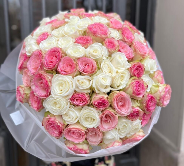 white pink roses