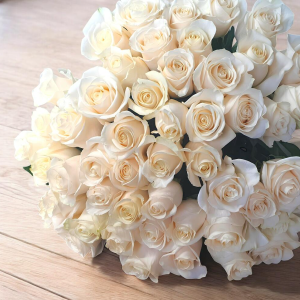 white roses